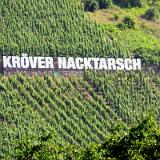 1907G 048 Mosel und Rhein